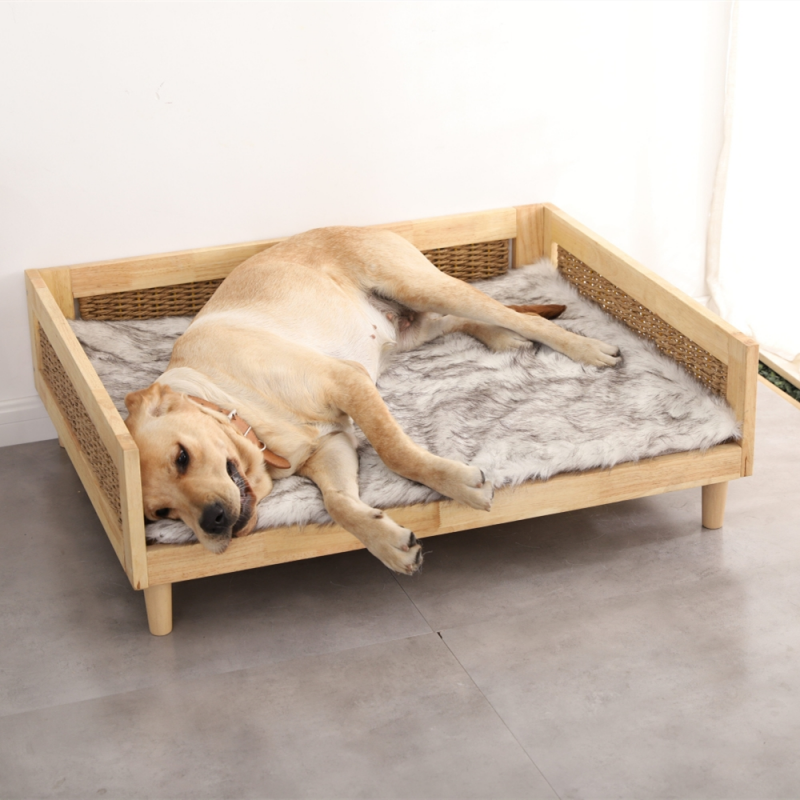 Cat Dog Furniture  