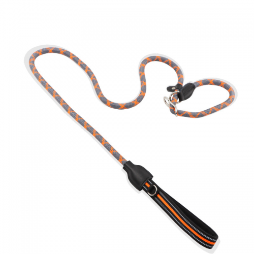 Wholesale multi-color nylon pet P rope pet chain traction puppy training explosion-proof dog leash