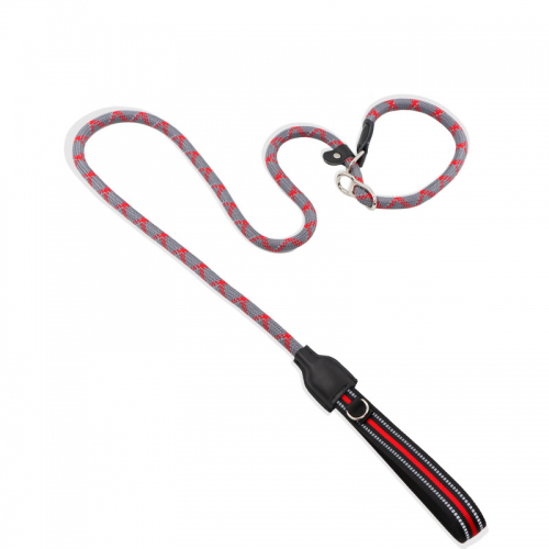 Wholesale multi-color nylon pet P rope pet chain traction puppy training explosion-proof dog leash