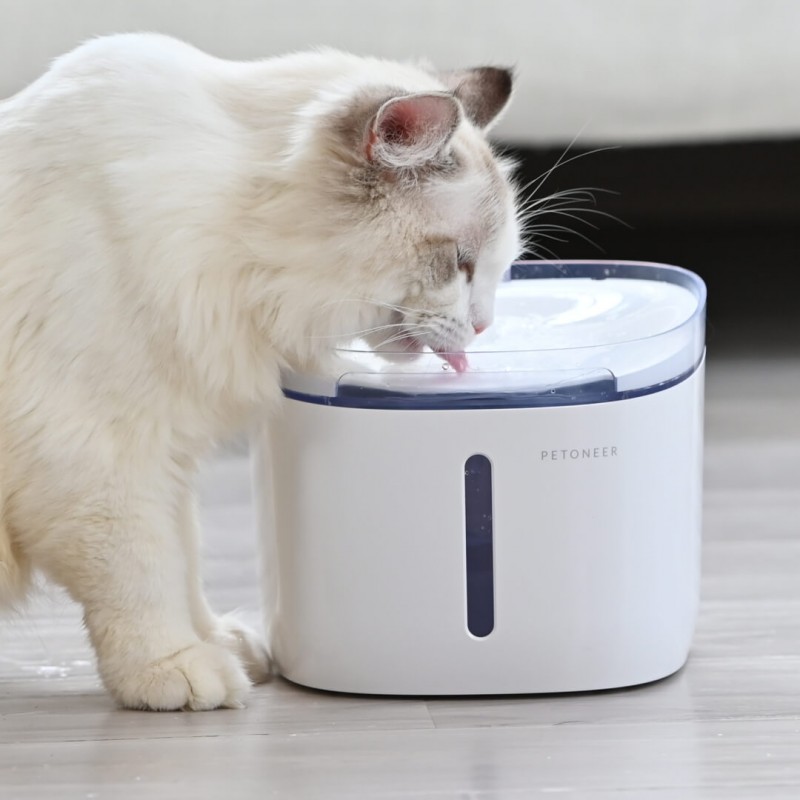 Smart automatic pet water feeder drinking fountain waterer bowl