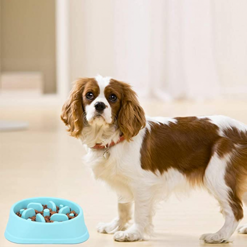 Manufacturer wholesale multi-colors design slow feeder pet dog bowls